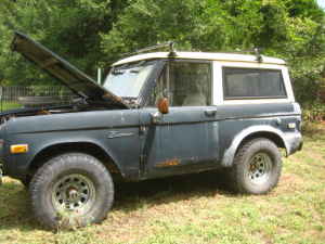 [Image: bronco2.jpg]