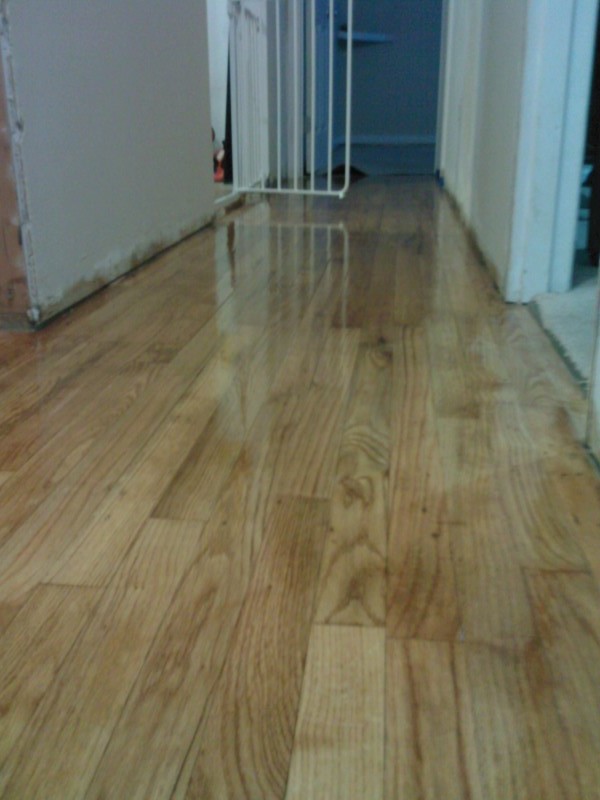 [Image: 1201091613.jpg]