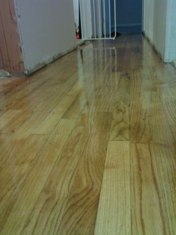 [Image: 1201091614.jpg]